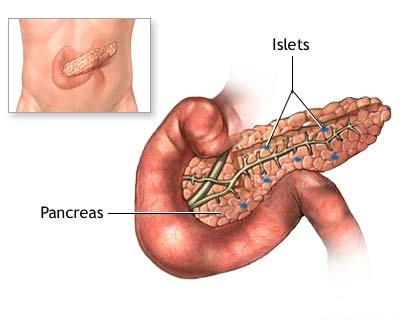 poza despre bolile pancreasului